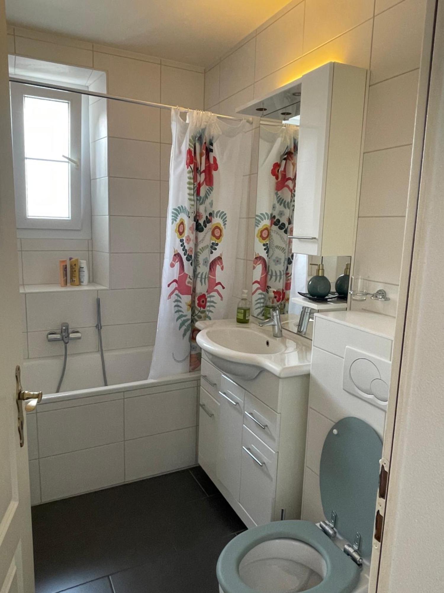 Charmant Appartement Au Vagabond 레셍 외부 사진